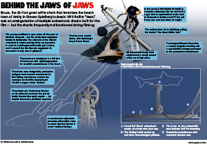 A diagram showing one of the animatronic sharks from the movie "Jaws."