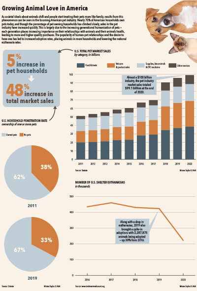 Chart package containing three separate charts pertaining to information on pets in America.